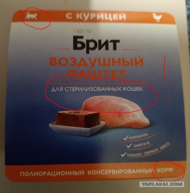 Вы когда нибудь кушали паштет для кошек ? Я два дня уплетал!