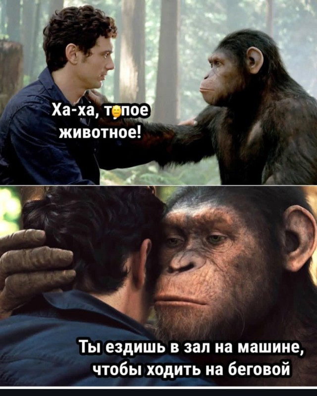 Так себе картинки 08.02.26