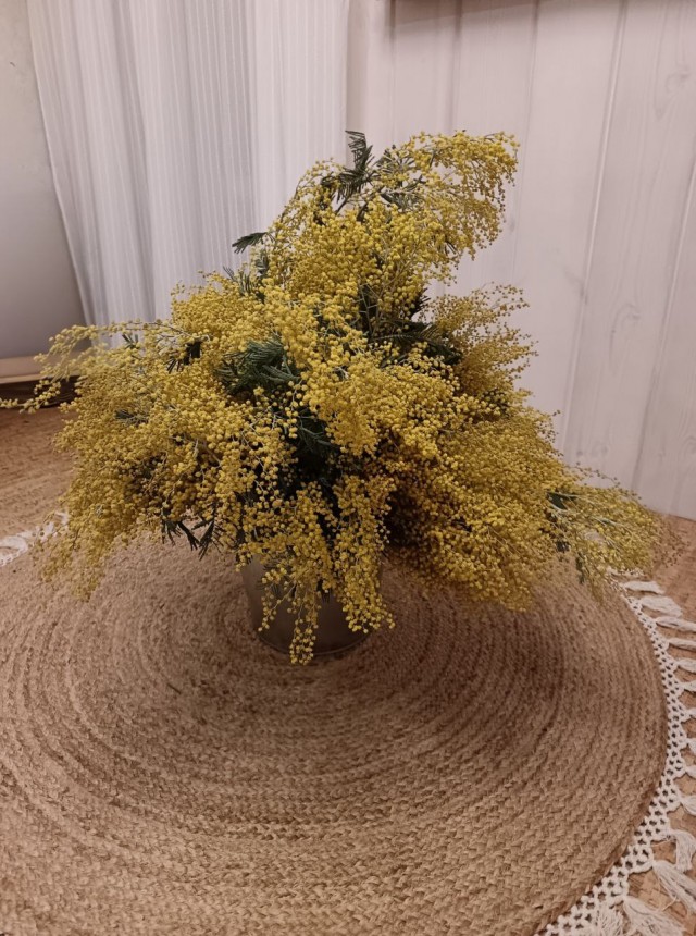 Снижение цен на тюльпаны не помогло цветочным магазинам заработать 8 Марта