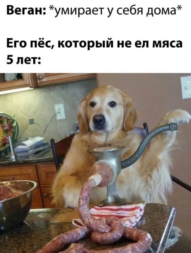 Картиночки, баянчики 11 марта