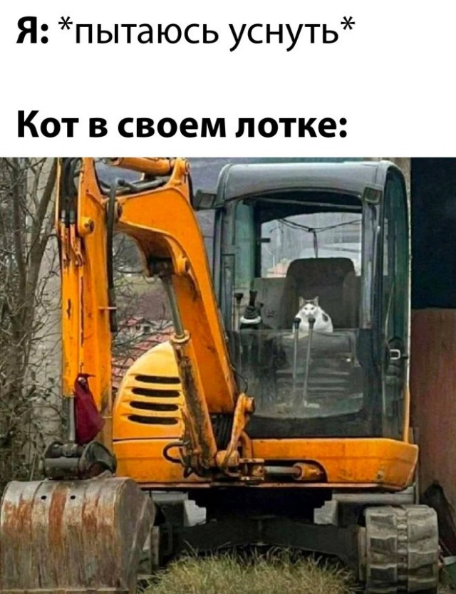 Картиночки, баянчики 14 марта
