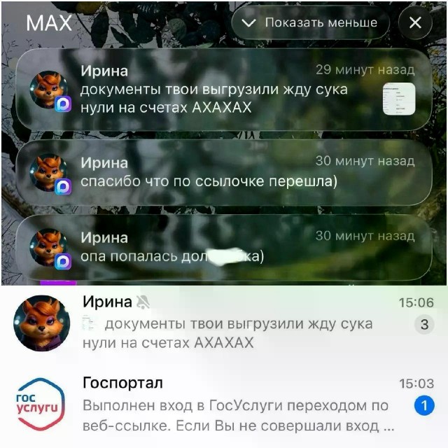 Мошенники разводят россиян в Max под видом госслужб