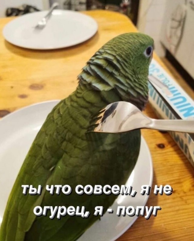 Среды картинки