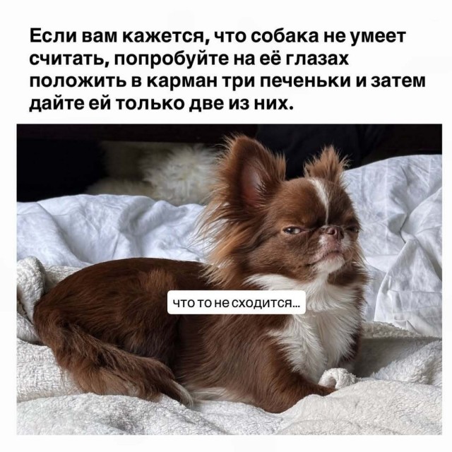 Забавные картинки, шутки из этих ваших интернетов