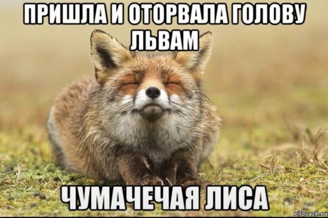 Если жизнь дала тебе лимон — сделай лимонад. Если жизнь дала тебе помидор — не пытайся сделать лимонад