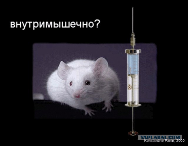 Деанонимизация прошла успешно!