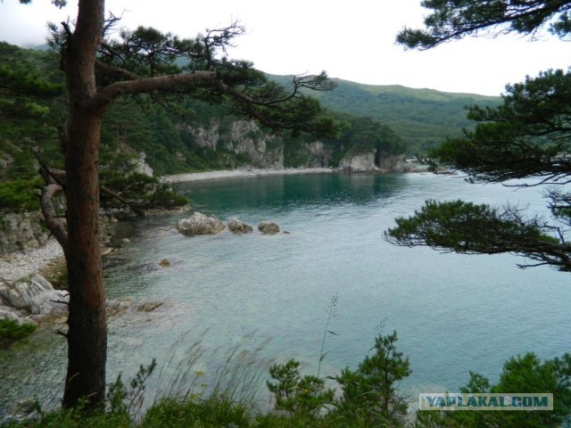 Бухта Теляковского