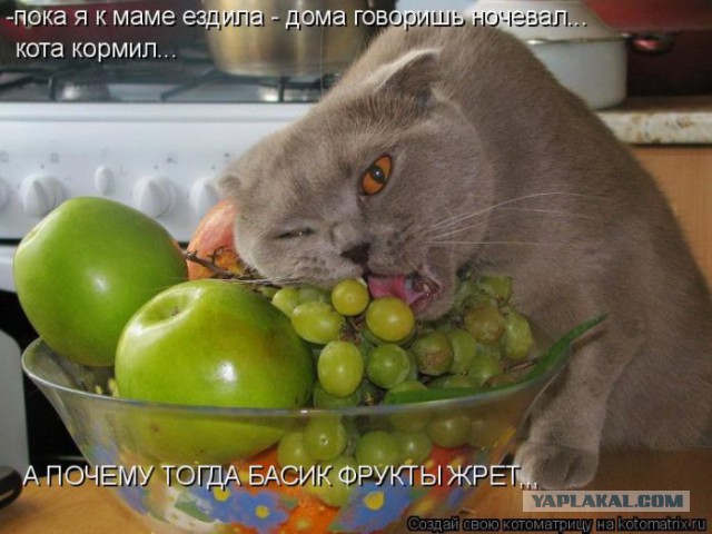 Когда твой друг подстрекатель