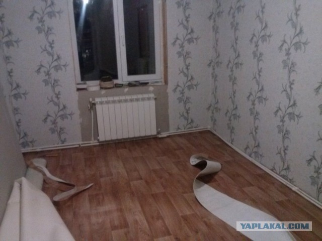 Новый дом своими силами.