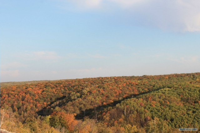 Золотая осень