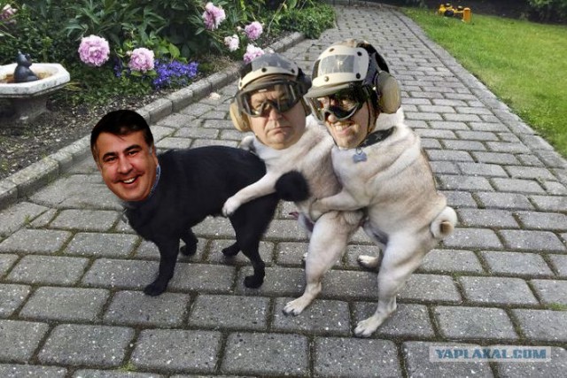 Дамы и господа, это просто агонь!