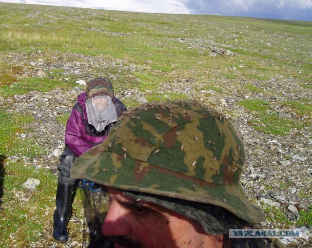 Ташкент, 2 января