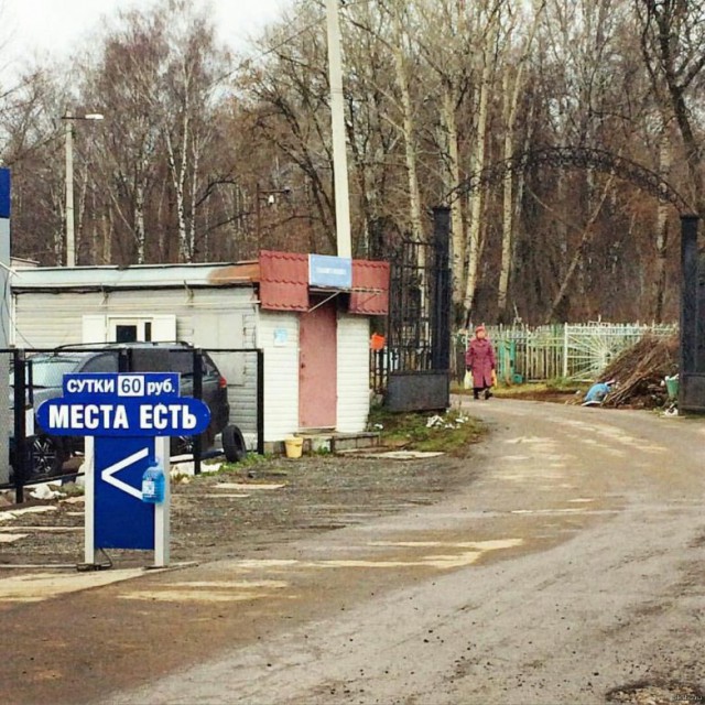 Прикольные картинки и демотиваторы