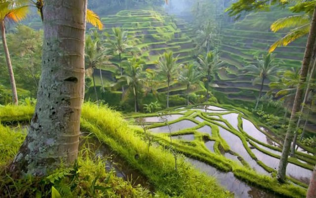 Подборка картинок