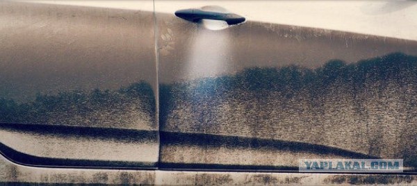 НЛО над лесом, когда пересмотрел РЕН-ТВ!