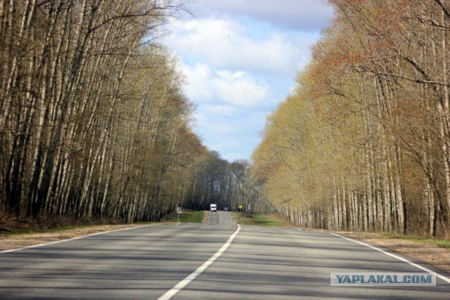 Сельскохозяйственный эксперимент ч. 7