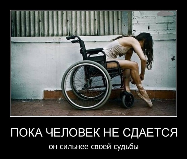 Подборка смешных, не очень и просто красивых фотографий