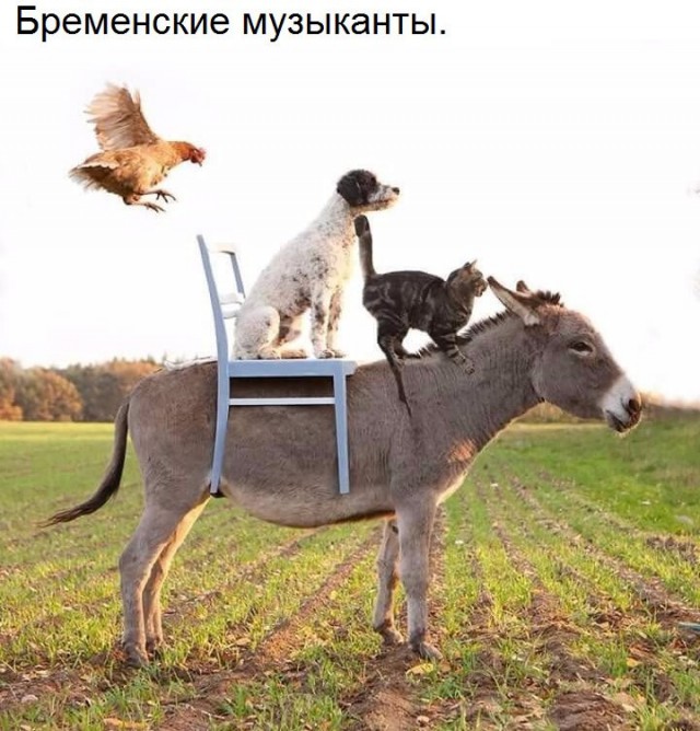 Прикольные картинки