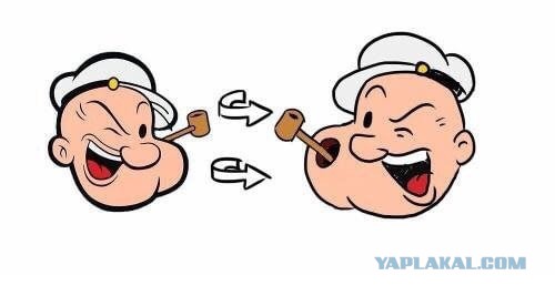 Попай, вид сбоку