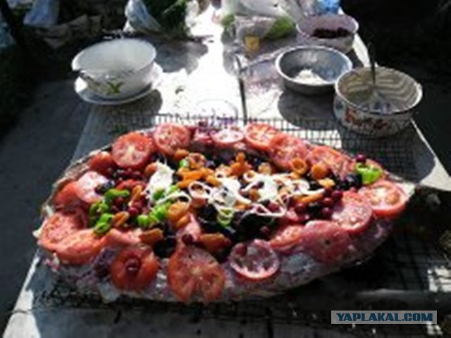 Рыба моей мечты