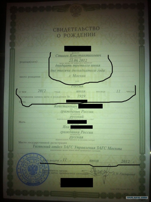 Волшебные грибочки