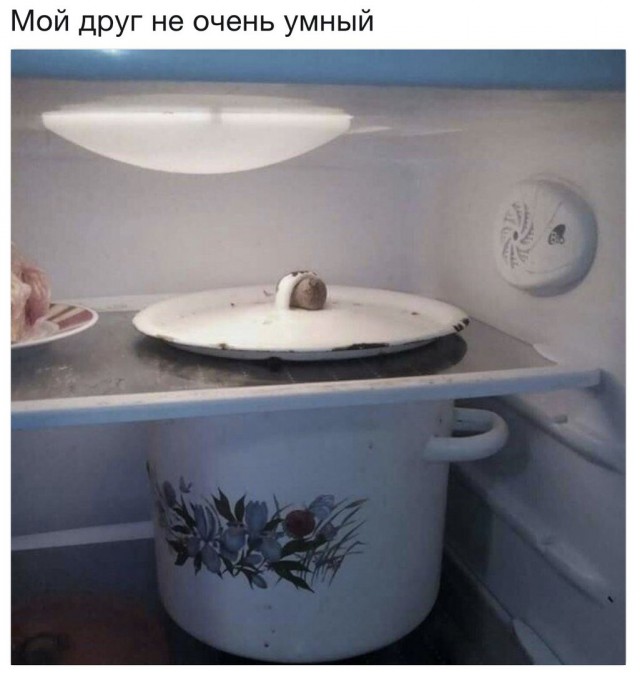 Немного веселых картинок из этих наших интернетов