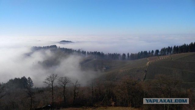 Глухомань в Германии