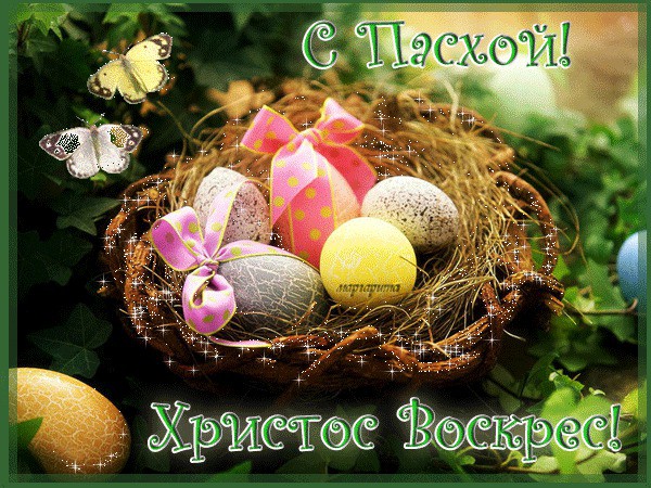 Беседка ФиС ЯПа 6