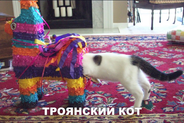 Нестандартный юмор