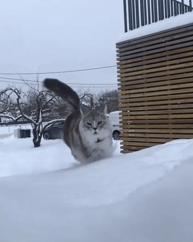 Когда позвали пожрать