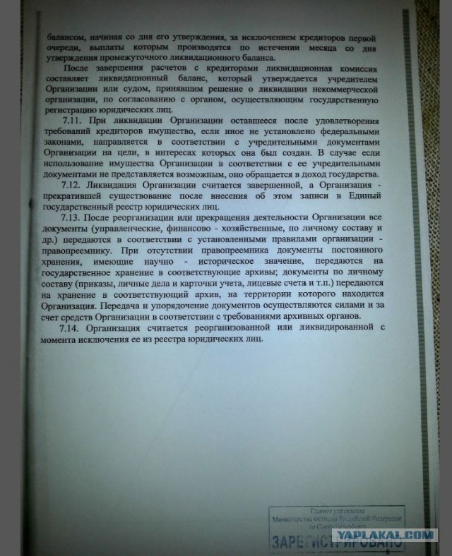 Помогите вернуть кота! Приют "Преданное сердце" украл кота и не отдает!-2