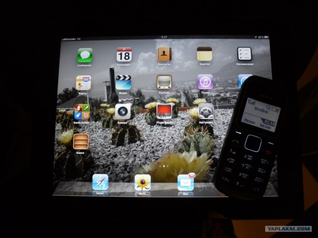 Iphone, шёл бы ты от сюда петушок