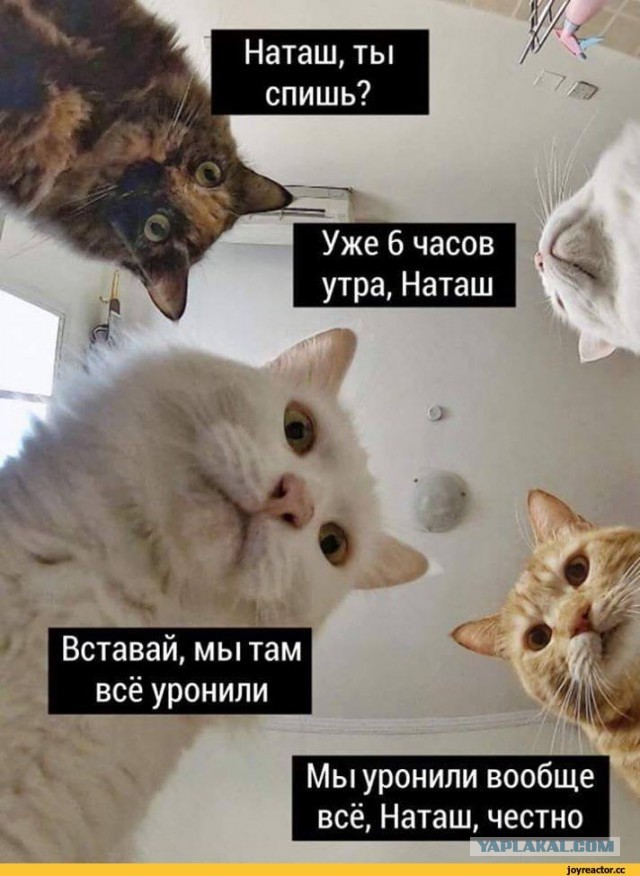Очередной челлендж с девками