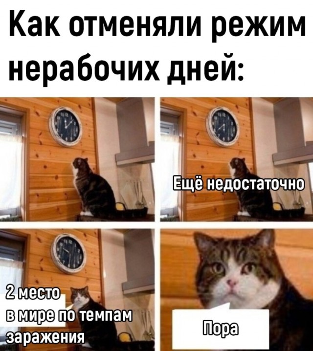 Как бы да и как бы и нет