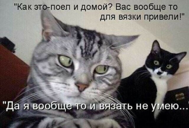 Так себе картинки 15.05.20