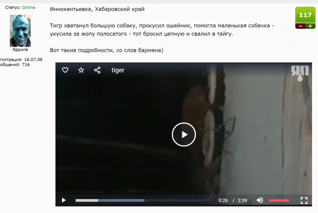 Полосатый догхантер