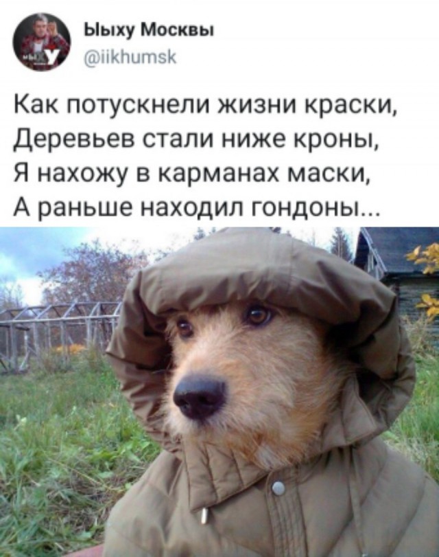 Декабрьский пикчемёт