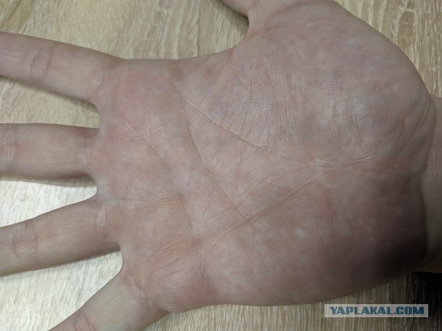 Хиромант
