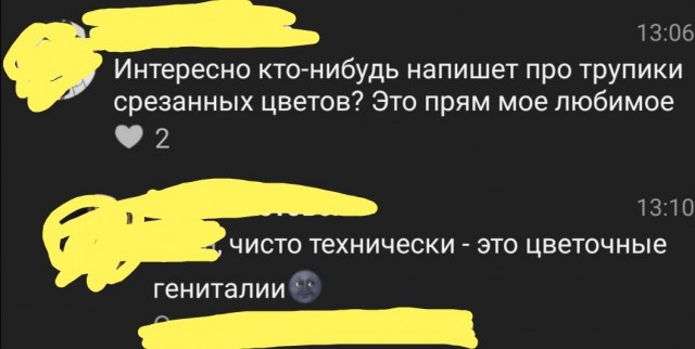 Картинки и мемы для настроения 023