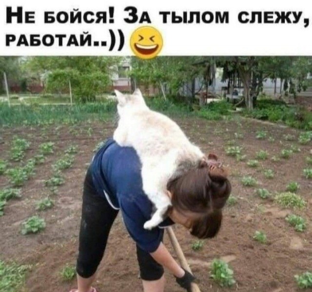 Баянисто-небаянистый юмор. 28.04.21