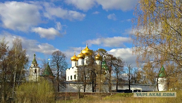 Живу в Костроме