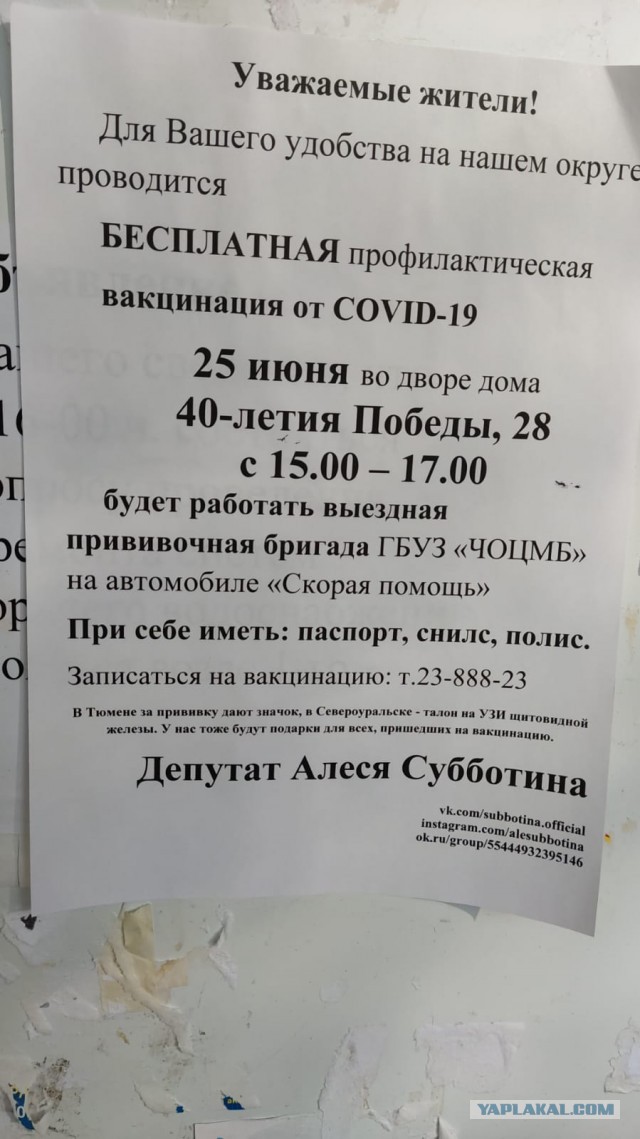 Один сплошной цирк