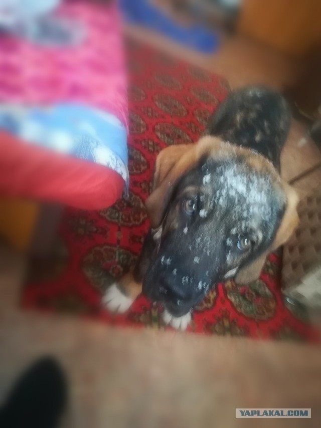 Наконец сбывается мечта