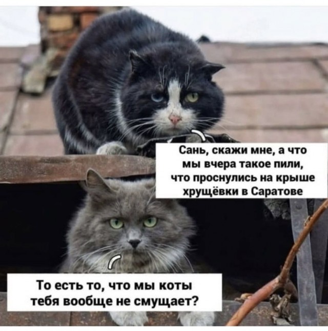 Делайте выводы