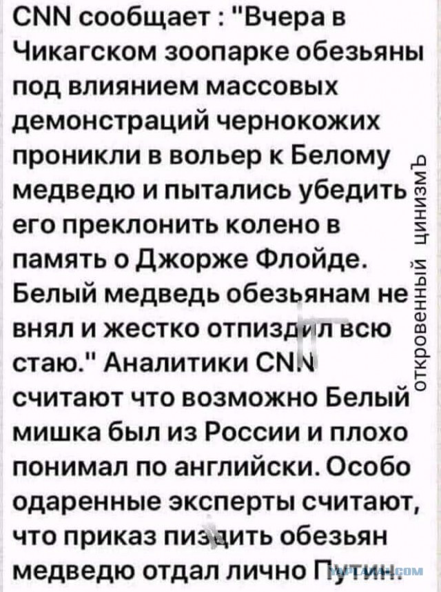 Чуток картинок 31.01.22