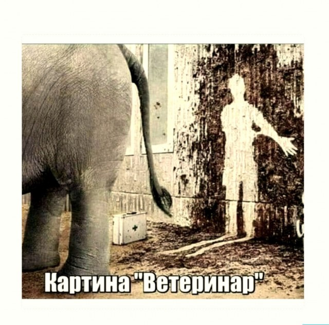 Так себе картинки 15.02.22