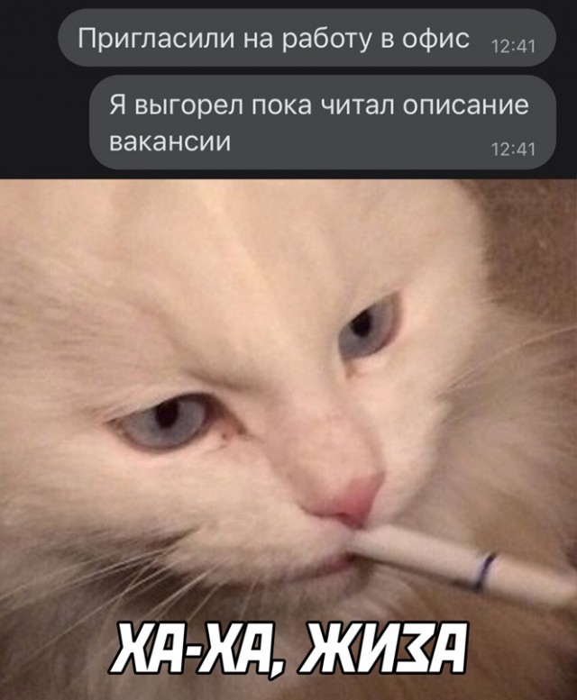 Картинки и мемы, всем хороших выходных