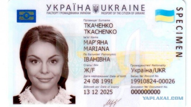 ФСБ задержала группу членов неонацистской террористической организации, планировавших убийство Соловьева