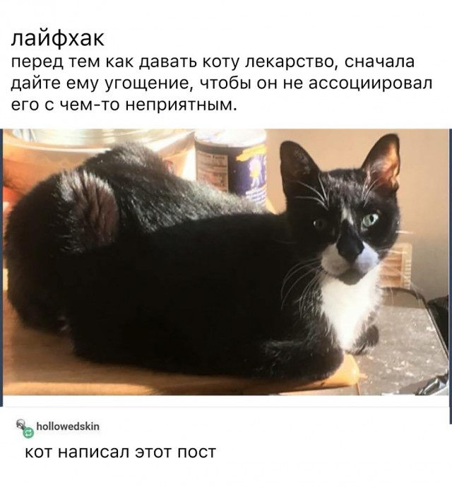 Так себе картинки 10.05.22