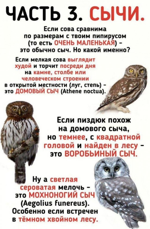 Картинки и мемы для настроения - 29